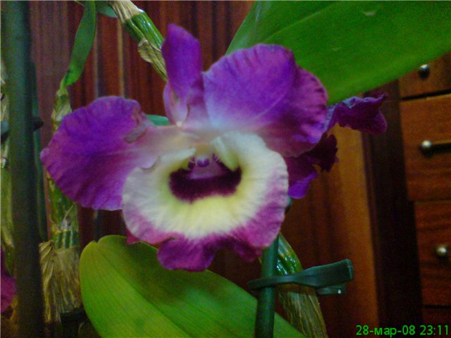 e9071d6459ed.jpg