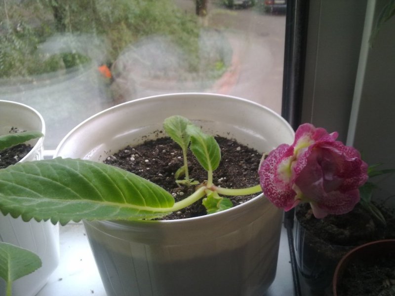 030820122068.jpg