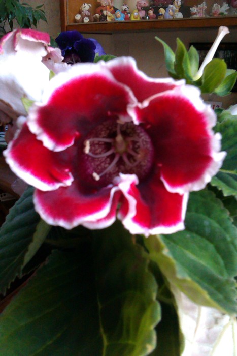IMAG0586.jpg