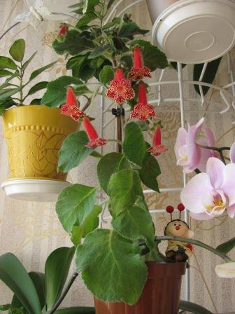 IMG_5063.JPG