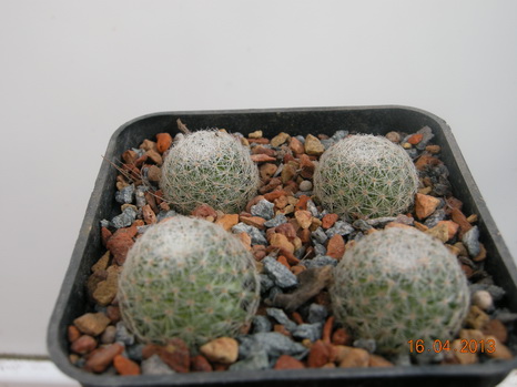 DSCN1613.JPG