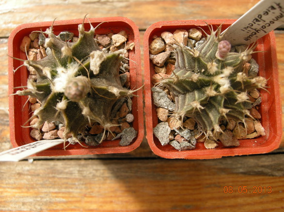DSCN1851.JPG