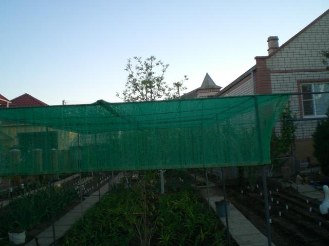 CIMG0028.jpg