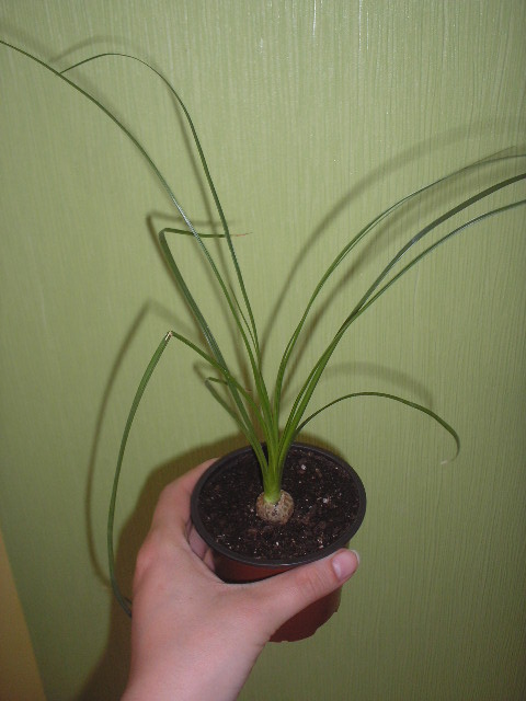 P1010001.JPG