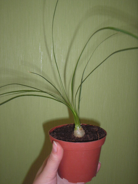 P1010002.JPG