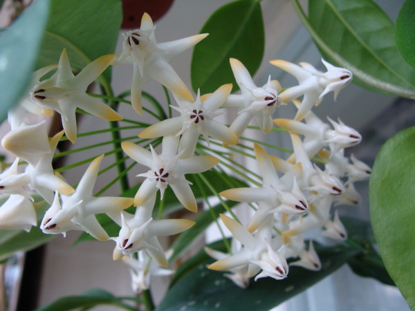 DSC07302.jpg
