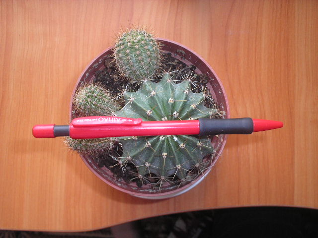 P1010004.JPG