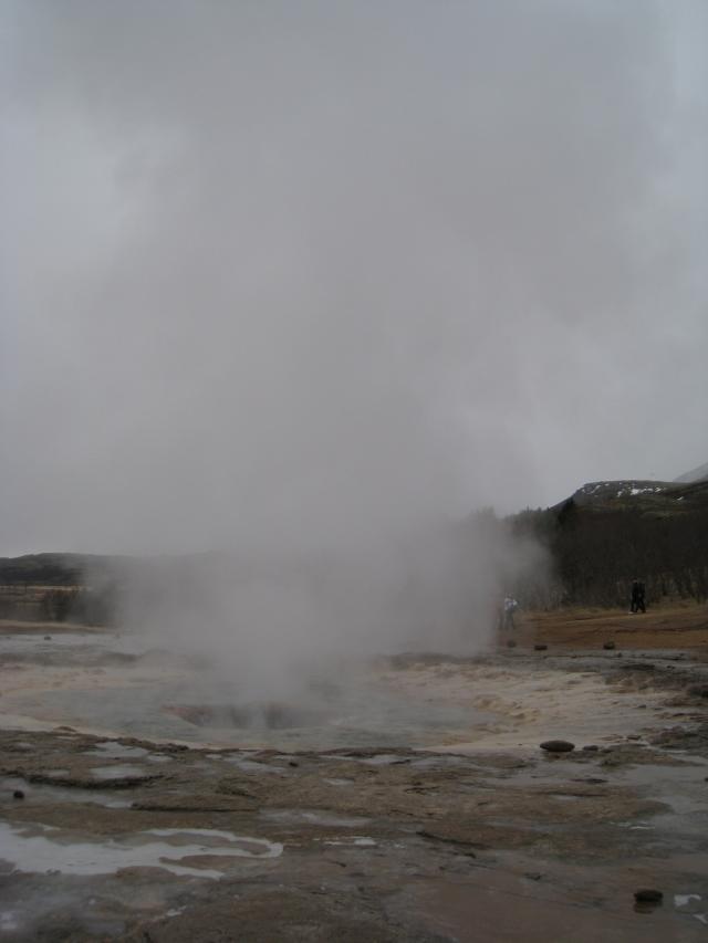 IMG_5078.jpg