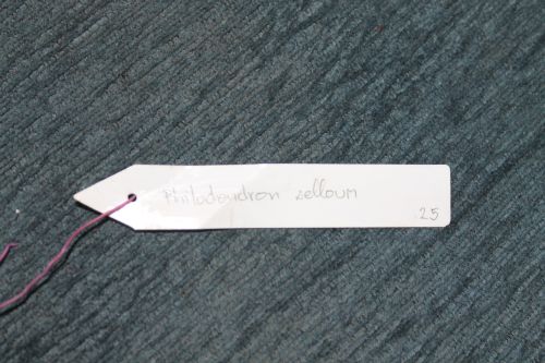 IMG_0578.jpg