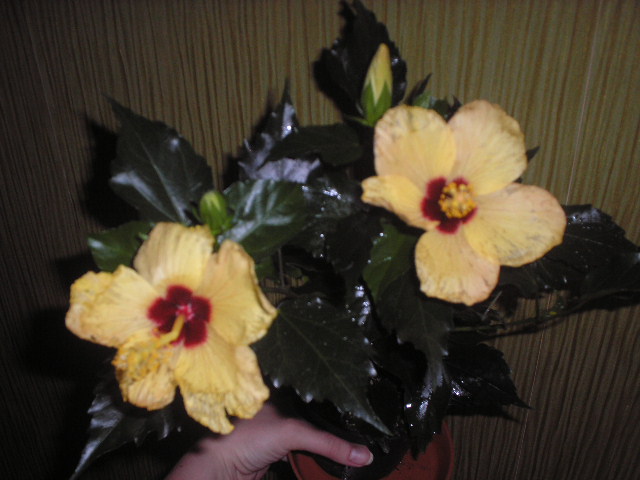 P1010001.JPG