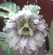 Image014.jpg