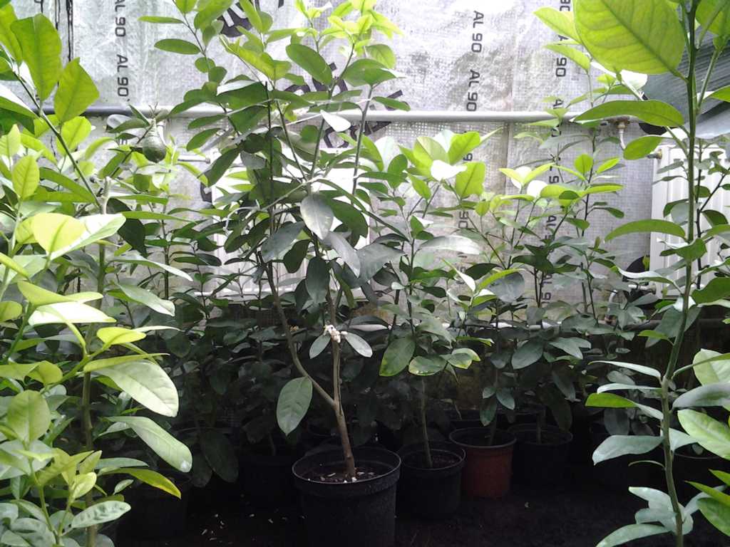 20130428_181538.jpg
