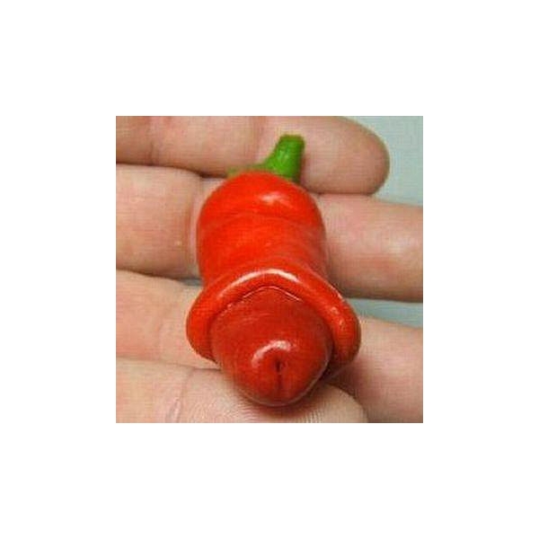 Peter Pepper.jpg