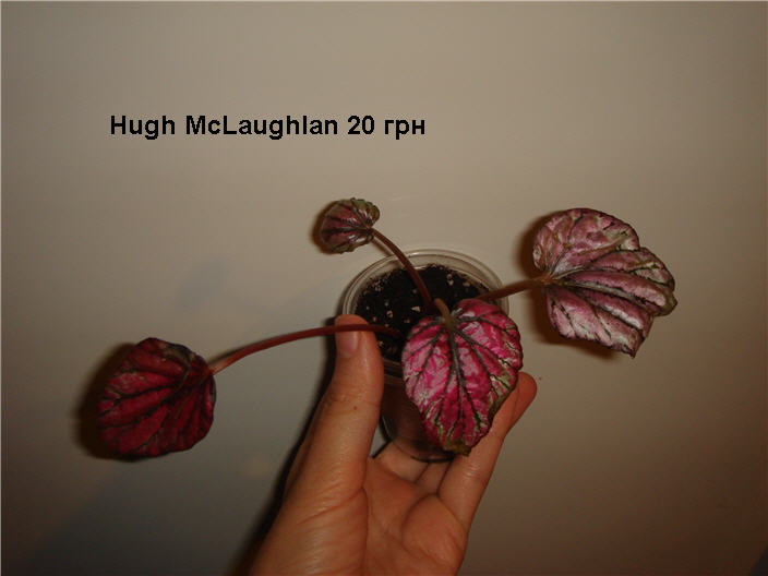 Hugh McLaughlan 20 грн.JPG