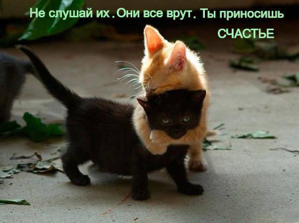 счастье.jpg