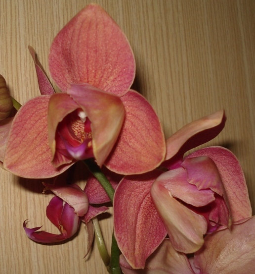 DSC02939.JPG