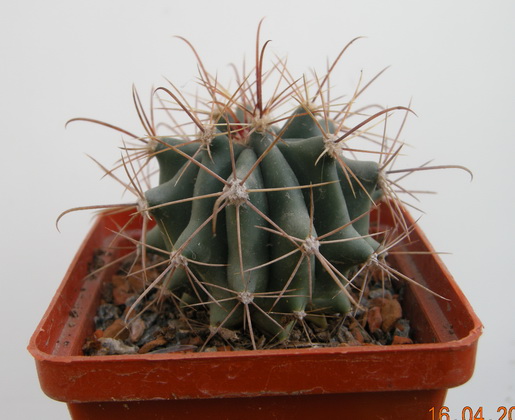 DSCN1602.JPG