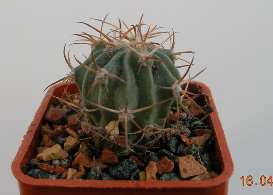 DSCN1607.JPG