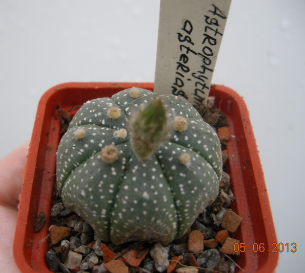 DSCN1987.JPG