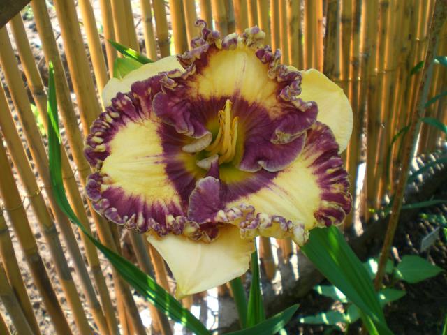 Happy Happy 9-06-2013.jpg