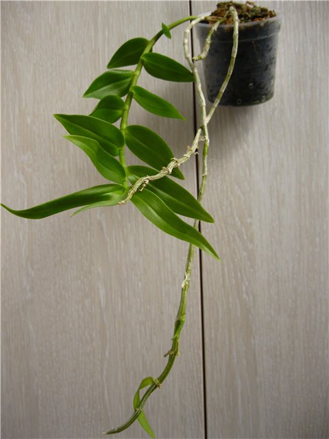 1f6a102e014f.jpg