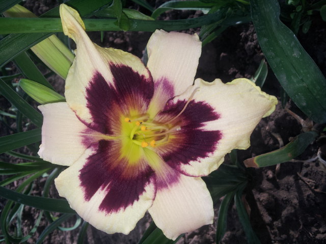 20130524_175602.jpg