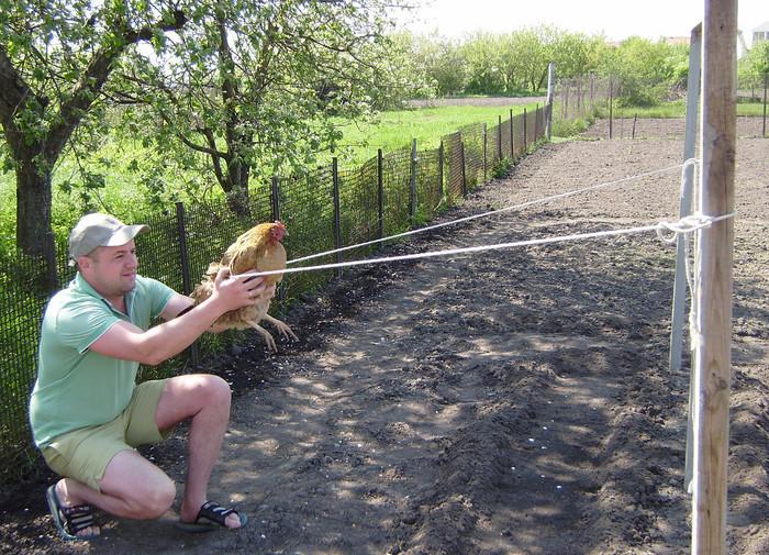 ппц.jpg