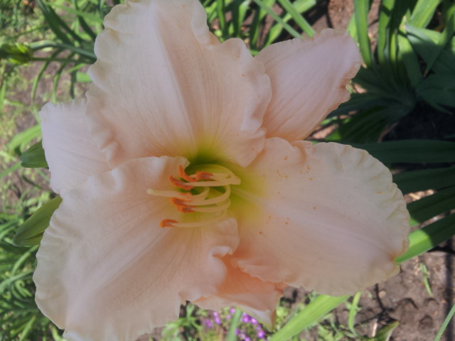 20130617_124705.jpg
