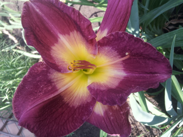 20130617_155514.jpg