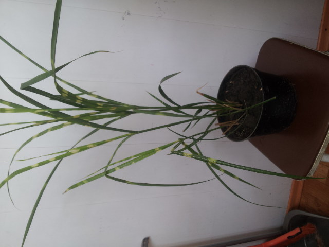 20130604_143203.jpg
