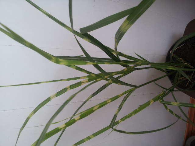 20130604_143209.jpg