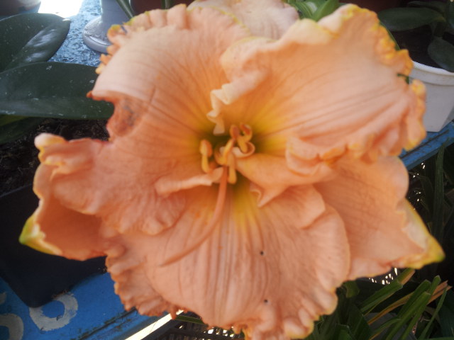 20130618_091417.jpg