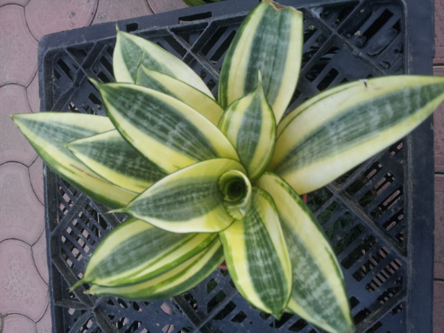 20130618_055418.jpg