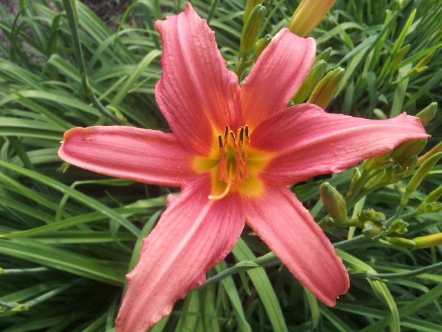 20130619_090216.jpg