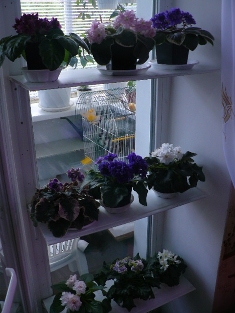 P1090880.JPG