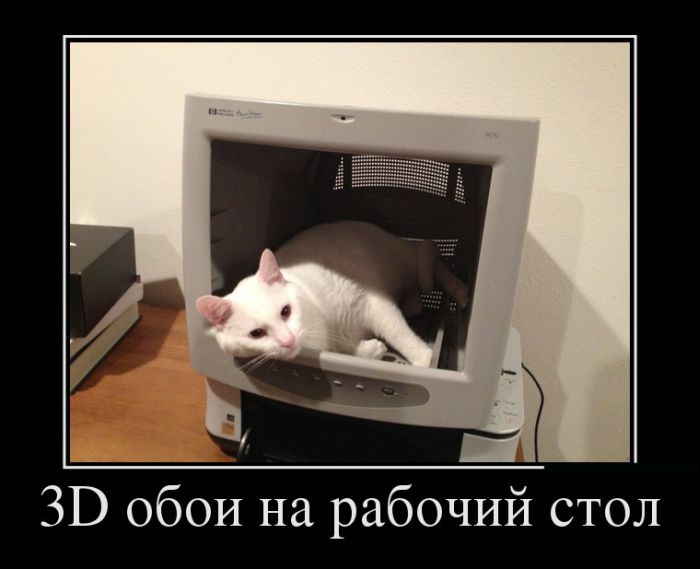 3 D обои.jpg