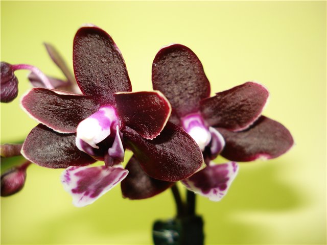 03e7f488af22.jpg