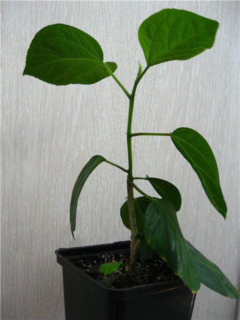 8759b14f81ae.jpg
