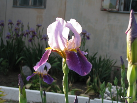 IMG_1576.JPG