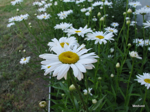 IMG_1637.JPG