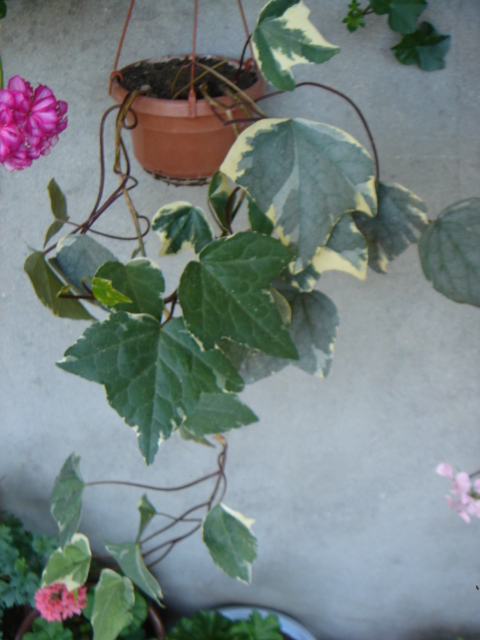 DSC00024.JPG