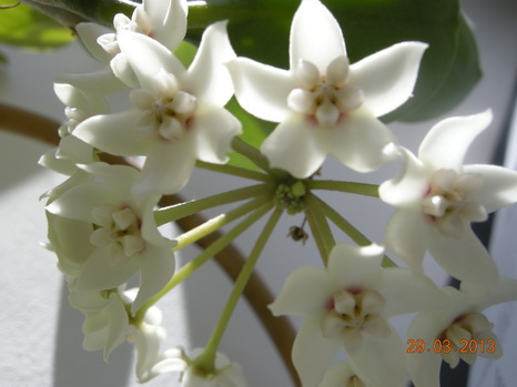 DSCN1392.JPG