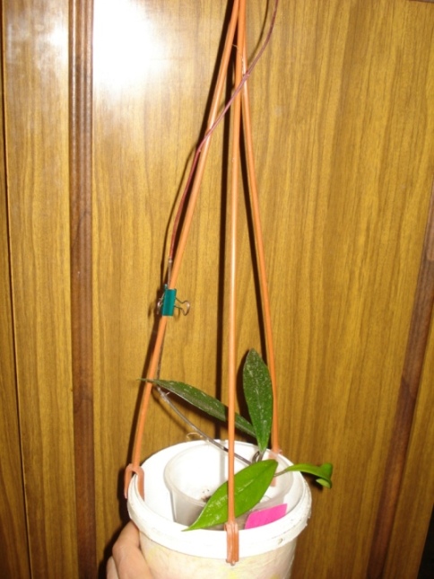 DSC09847.JPG