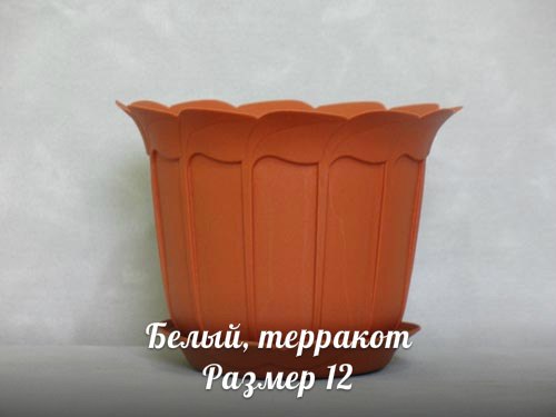 wl14tVb2P5c.jpg