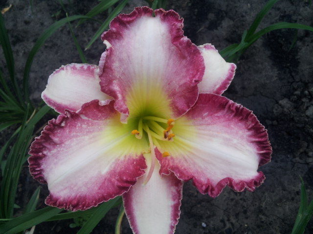 20130621_065154.jpg