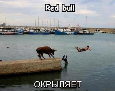 n9CD_k3Euq4.jpg