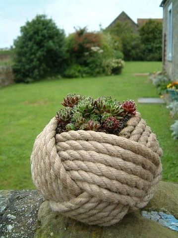 getImage (6).jpg