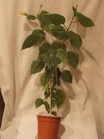 DSCN3255.JPG