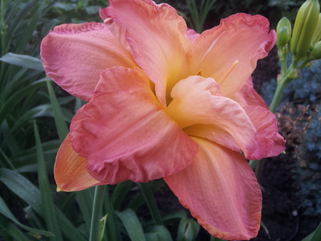 20130629_075000.jpg