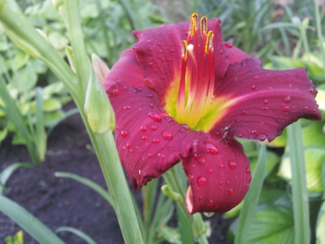 20130629_080616.jpg